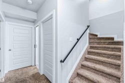 Stairway featuring carpet floors and a textured ceiling - 