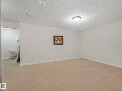 Spare room with light colored carpet and a textured ceiling - 960 Summerside Link, Edmonton, AB - Indoor Photo Showing Other Room