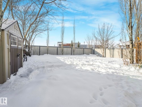 Snowy yard with a fenced backyard - 960 Summerside Link, Edmonton, AB - Outdoor
