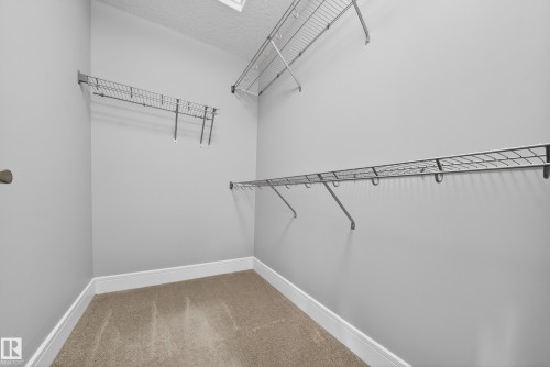 Walk in closet with light colored carpet - 1907 Adamson Terrace, Edmonton, AB - Indoor With Storage