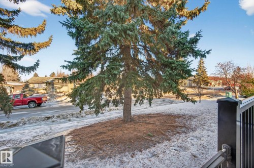 View of yard with a residential view - 9969 171 Avenue, Edmonton, AB - Outdoor With View