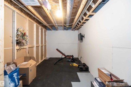 View of workout area - 17143 38 Street, Edmonton, AB - Indoor