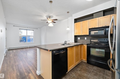 1-208 4245 139 Avenue, Edmonton, AB - Indoor Photo Showing Kitchen With Double Sink