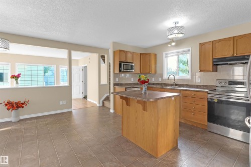 460 Gibb Wynd, Edmonton, AB - Indoor Photo Showing Kitchen