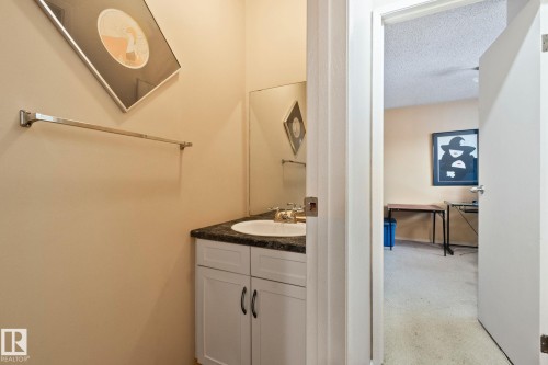 Half bathroom with vanity, light colored carpet, and a textured ceiling - 313 Willow Court, Edmonton, AB - Indoor Photo Showing Bathroom