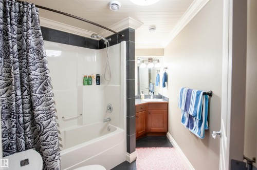 47 River Heights Drive, Edmonton, AB - Indoor Photo Showing Bathroom