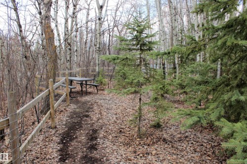 47 River Heights Drive, Edmonton, AB - Outdoor