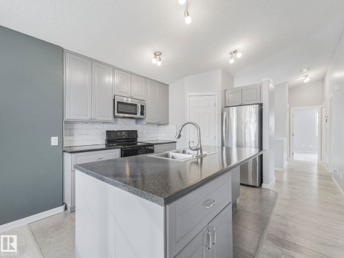 17903 85 Street, Edmonton, AB - Indoor Photo Showing Kitchen With Double Sink