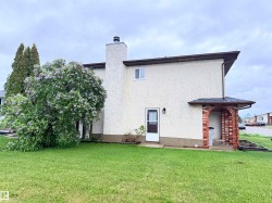 Stucco exterior with a prominent chimney and a mature flowering tree - 