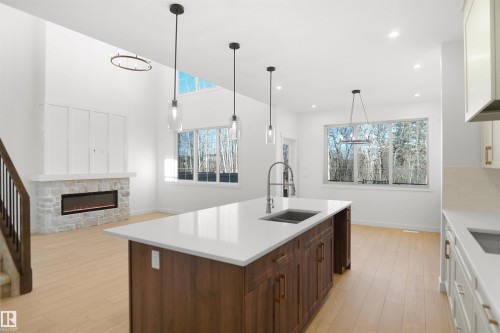 20608 27 Avenue, Edmonton, AB - Indoor Photo Showing Kitchen With Upgraded Kitchen