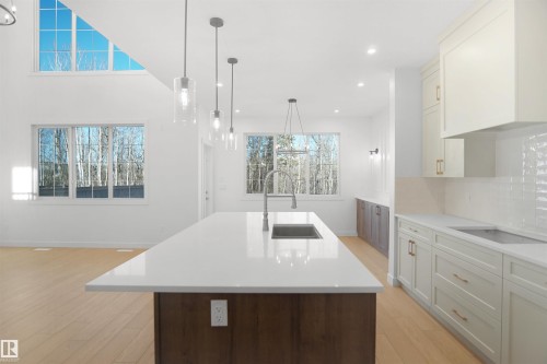 20608 27 Avenue, Edmonton, AB - Indoor Photo Showing Kitchen With Upgraded Kitchen