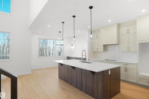 20608 27 Avenue, Edmonton, AB - Indoor Photo Showing Kitchen With Upgraded Kitchen