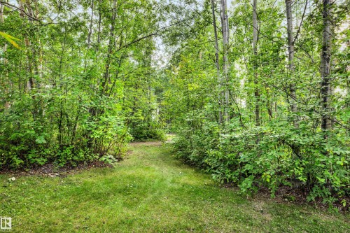 View of grassy yard featuring a wooded view - 605 6St. Ross Haven, Rural Lac Ste. Anne County, AB - Outdoor