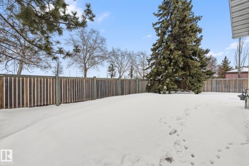 34 Andrew Crescent, St. Albert, AB - Outdoor
