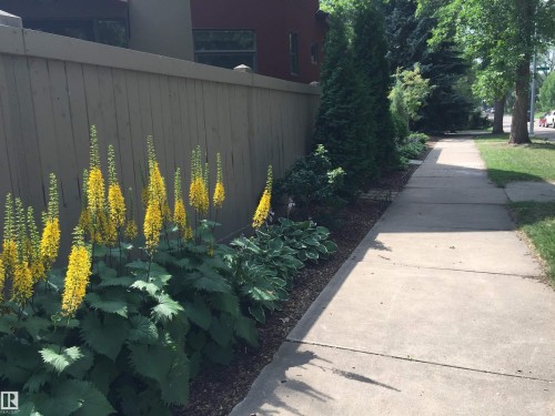 6428 Ada Boulevard, Edmonton, AB - Outdoor