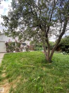 View of yard - 