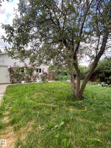 View of yard - 12432 134 Street, Edmonton, AB - Outdoor