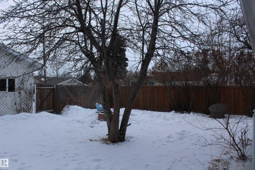 Snowy yard with a fenced backyard - 12432 134 Street, Edmonton, AB - Outdoor