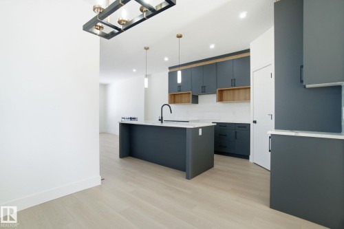 10725 70 Avenue, Edmonton, AB - Indoor Photo Showing Kitchen With Upgraded Kitchen