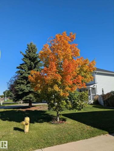 115 Parkside Drive, Wetaskiwin, AB - Outdoor