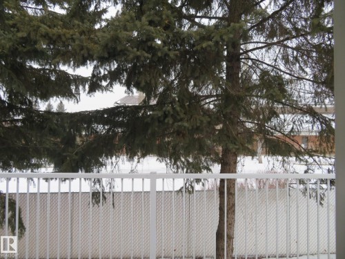 View of yard - 1855 Mill Woods Road E, Edmonton, AB - Outdoor