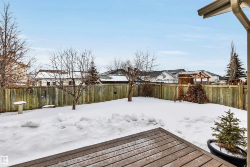 91 Hamilton Crescent, St. Albert, AB - Outdoor With Backyard