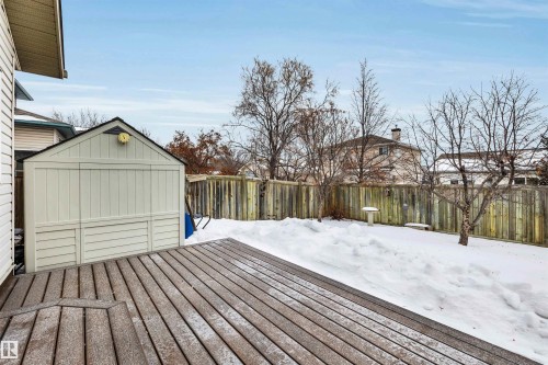 91 Hamilton Crescent, St. Albert, AB - Outdoor