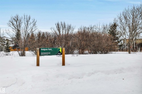 91 Hamilton Crescent, St. Albert, AB - Outdoor With View