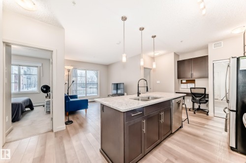 108 1144 Adamson Drive, Edmonton, AB - Indoor Photo Showing Kitchen With Double Sink With Upgraded Kitchen