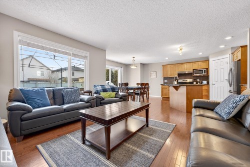 21907 95 Avenue, Edmonton, AB - Indoor Photo Showing Living Room