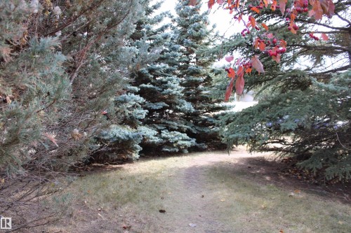 26 Longview Drive, Spruce Grove, AB - Outdoor