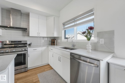9476 Colak Lane, Edmonton, AB - Indoor Photo Showing Kitchen With Double Sink