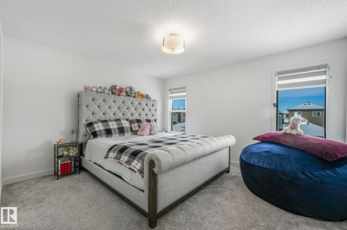 9476 Colak Lane, Edmonton, AB - Indoor Photo Showing Bedroom