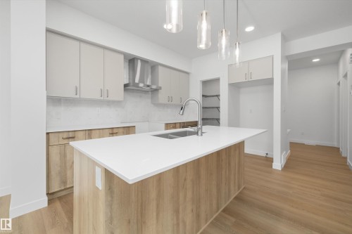 2816 190 Street, Edmonton, AB - Indoor Photo Showing Kitchen With Double Sink