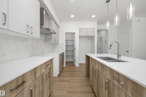 2816 190 Street, Edmonton, AB - Indoor Photo Showing Kitchen With Double Sink With Upgraded Kitchen