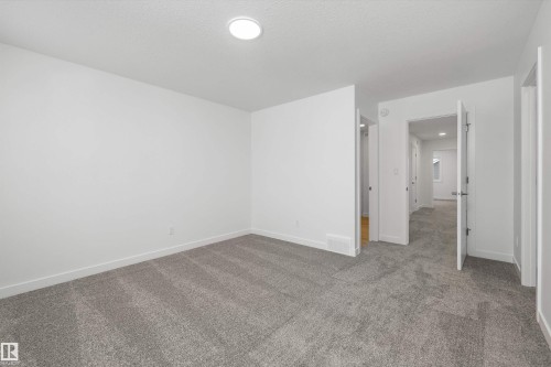 2816 190 Street, Edmonton, AB - Indoor Photo Showing Other Room