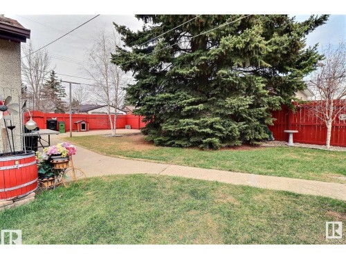 View of yard - 8908 130 Avenue Nw, Edmonton, AB - Outdoor