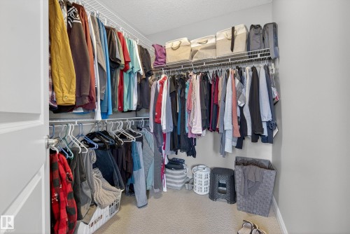 Walk in closet with carpet flooring - 44 903 Rutherford Road, Edmonton, AB - Indoor With Storage