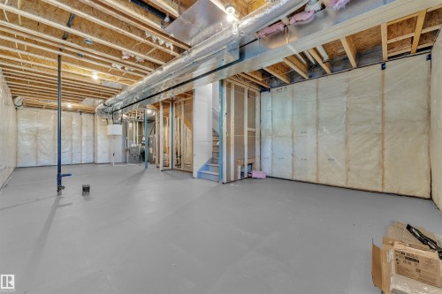 752 Mattson Drive, Edmonton, AB - Indoor Photo Showing Basement