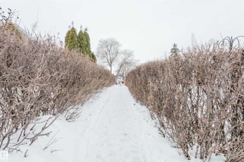 View of road - 11519 37A Avenue, Edmonton, AB - Outdoor With View