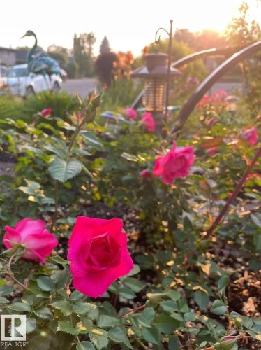 Exterior view - 11519 37A Avenue, Edmonton, AB - Outdoor With View