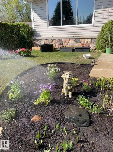 View of green lawn - 11519 37A Avenue, Edmonton, AB - Outdoor