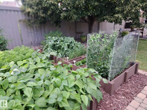 5 Elbow Place, St. Albert, AB - Outdoor