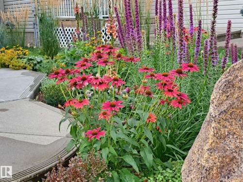 5 Elbow Place, St. Albert, AB - Outdoor