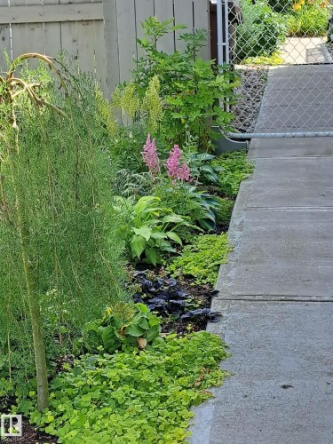 5 Elbow Place, St. Albert, AB - Outdoor