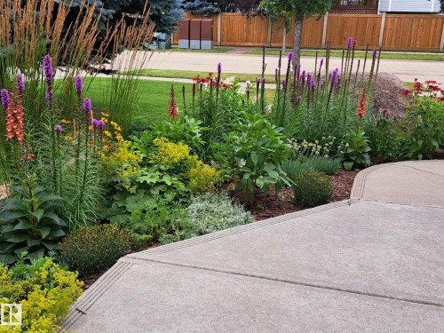 5 Elbow Place, St. Albert, AB - Outdoor