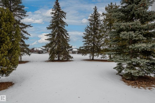 View of snowy yard - 48 Fairway Point(E), Spruce Grove, AB - Outdoor With View