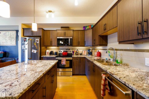 319 10523 123 Street, Edmonton, AB - Indoor Photo Showing Kitchen With Double Sink With Upgraded Kitchen