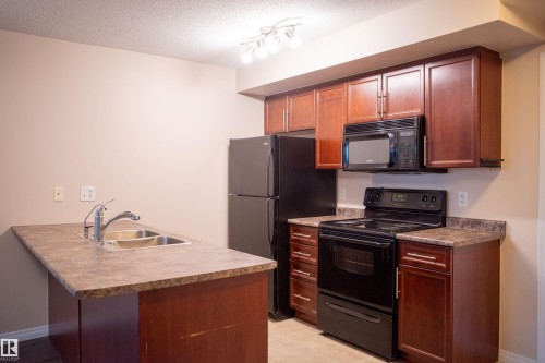 207 6925 199 Street, Edmonton, AB - Indoor Photo Showing Kitchen With Double Sink