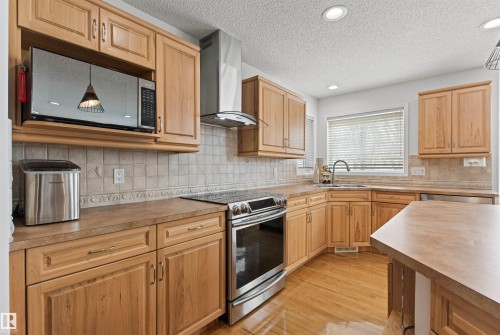 170 Galland Crescent, Edmonton, AB - Indoor Photo Showing Kitchen With Stainless Steel Kitchen